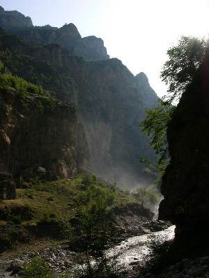 1-Ecology.jpg